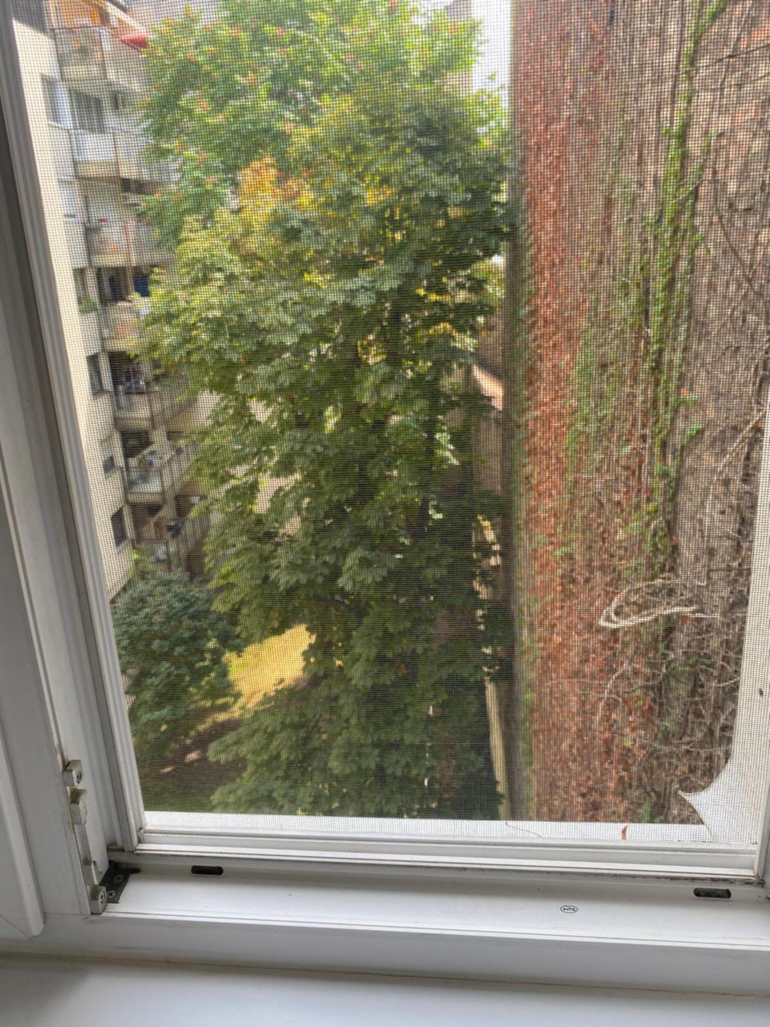 Budapest Oasis One Bedroom For Renting Buitenkant foto